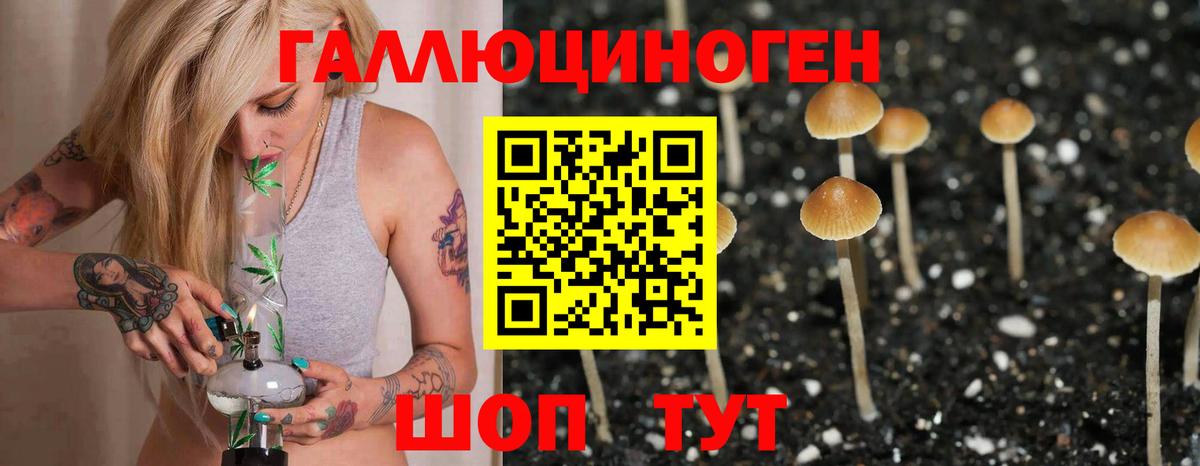 Фролово  Галлюциногенные грибы мицелий  Вход с VPN  Псилоцибиновые грибы ЛСД 