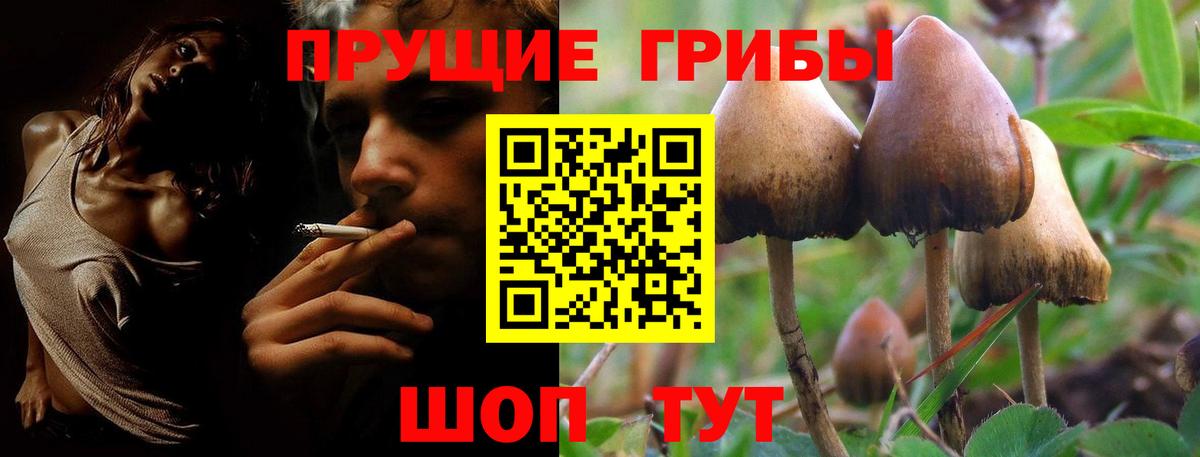 Галлюциногенные грибы MAGIC MUSHROOMS Фролово